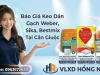 Mua Keo Dán Gạch Giá Sỉ Tại Cần Giuộc — Đại Lý Giao Hỏa Tốc