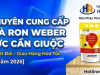 Địa Chỉ Mua Bột Chà Ron Weber Chính Hãng Giá Kho Tại TP.HCM