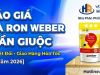 Báo Giá Bột Chà Ron Weber Chống Thấm Tuyệt Đối — Đại Lý Cần Giuộc