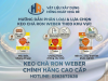Phân Loại Các Dòng Keo Chà Ron Bột Weber: Cách Chọn Chuẩn Cho Thợ, Chủ Nhà Quận 7 - Nhà Bè