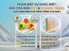 Ưu Điểm Vượt Trội Của Keo Chà Ron Bột Weber So Với Xi Măng Trắng