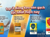  Đại Lý Keo Dán Gạch Quận 8: Địa Chỉ Mua Hàng Uy Tín & Báo Giá Mới Nhất