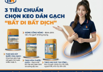 Tiêu chuẩn chọn keo dán gạch 