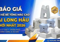 Báo Giá Viên Kê Bê Tông Mác Cao Tại Long Hậu — Đại Lý Phân Phối Sỉ