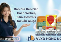 Mua Keo Dán Gạch Giá Sỉ Tại Cần Giuộc — Đại Lý Giao Hỏa Tốc