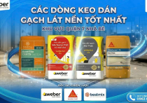 Các Dòng Keo Dán Gạch Lát Nền Chuyên Dụng — Đánh Giá & Khuyên Dùng