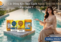 Top Các Dòng Keo Dán Gạch Ngoài Trời Siêu Bám Dính & Cách Chọn Mua Nhanh Tại Quận 7, Nhà Bè