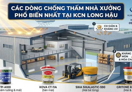Các Dòng Chống Thấm Nhà Xưởng Phổ Biến Nhất Tại KCN Long Hậu — So Sánh & Chọn Đúng Loại 2026