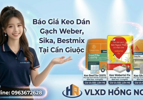Mua Keo Dán Gạch Giá Sỉ Tại Cần Giuộc — Đại Lý Giao Hỏa Tốc