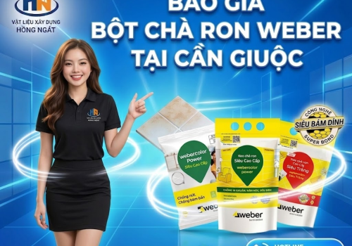 Bảng Giá Bột Chà Ron Weber Sỉ Lẻ Cập Nhật Mới Nhất Tại Cần Giuộc