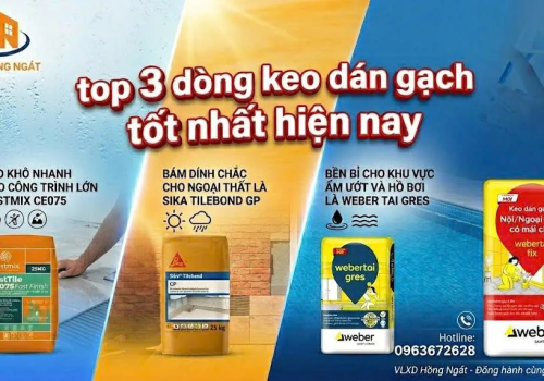  Đại Lý Keo Dán Gạch Quận 8: Địa Chỉ Mua Hàng Uy Tín & Báo Giá Mới Nhất
