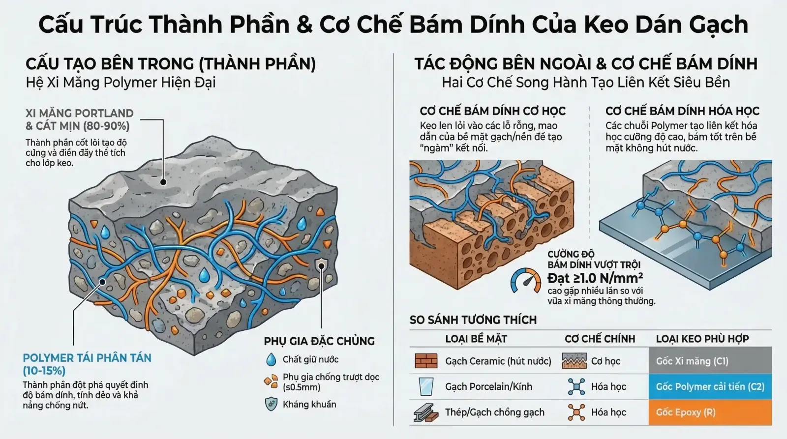 Thành Phần Cấu Tạo Keo Dán Gạch